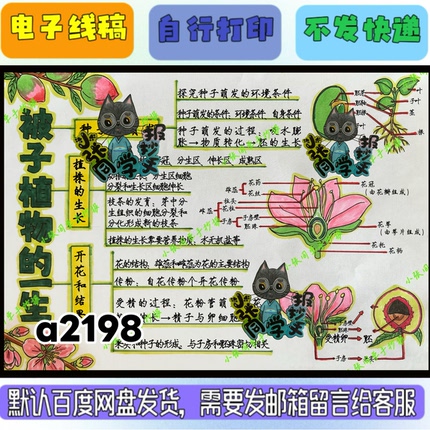 a2198被子植物的一生思维导图（电子线稿无实物发货）