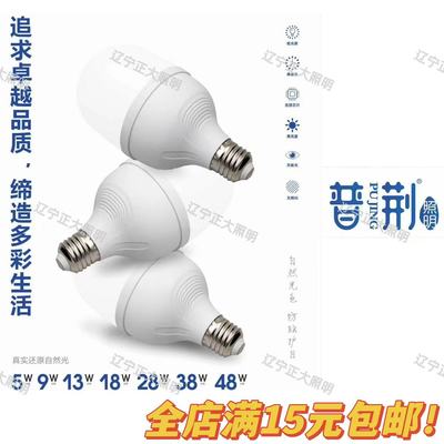 足功率普荆节能无频闪护眼灯泡