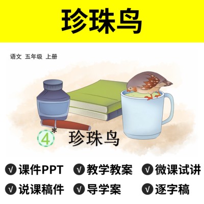P28珍珠鸟PPT公开课件逐字稿说课稿教案五年级语文模板面试讲视频
