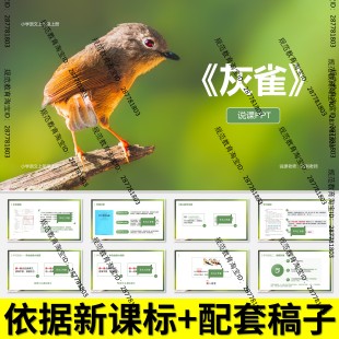 V50灰雀说课稿说课PPT课件语文说课大单元任务群新教材课标