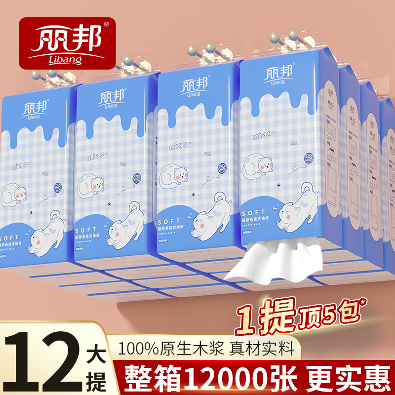 丽邦提挂式抽纸悬挂抽取式卫生纸家用擦手纸厕纸宿舍大包平板纸巾