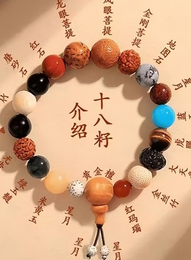 轻奢十八籽手串佛珠微镶铜珠闺蜜送礼吸睛链高级感气质感时尚