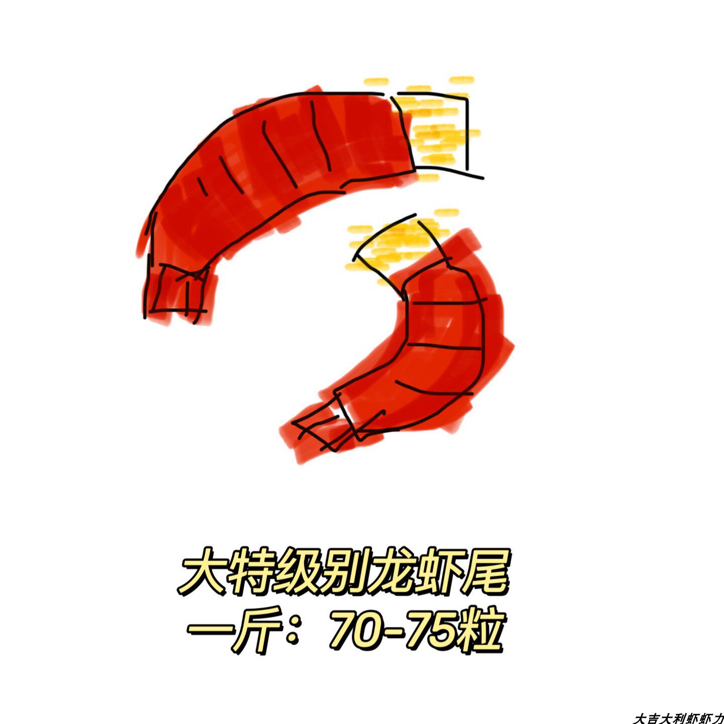 大特2026干冻龙虾尾送调料包大吉大利虾虾力顺丰包邮