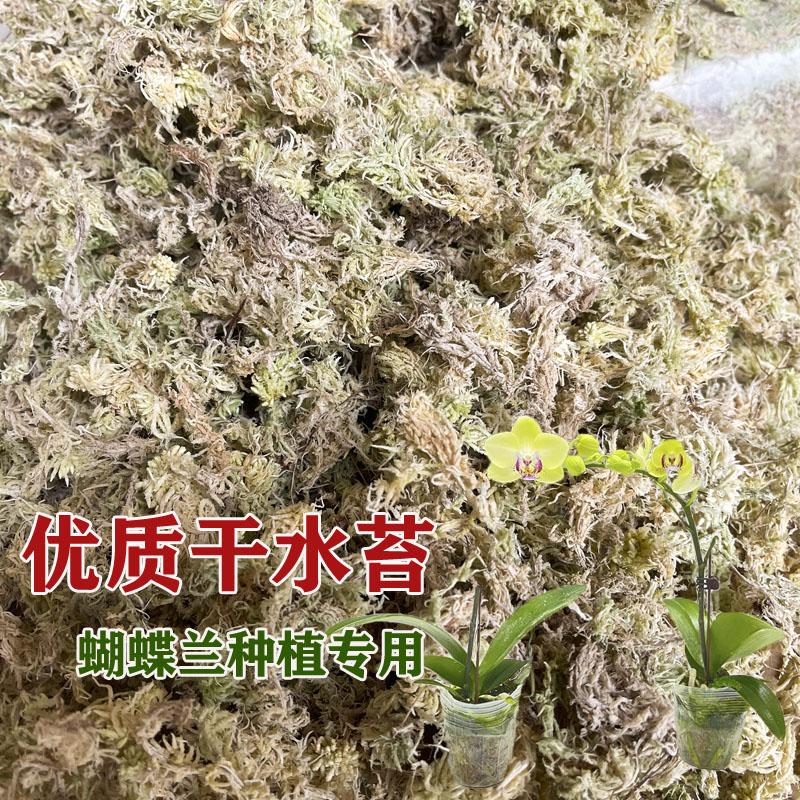 干水苔蝴蝶兰营养土乌龟冬眠垫材