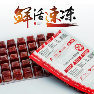 鱼饲料北水冻红虫急冻赤虫冷冻丰年虾七彩饲料血虫冷冻红虫锦鲤