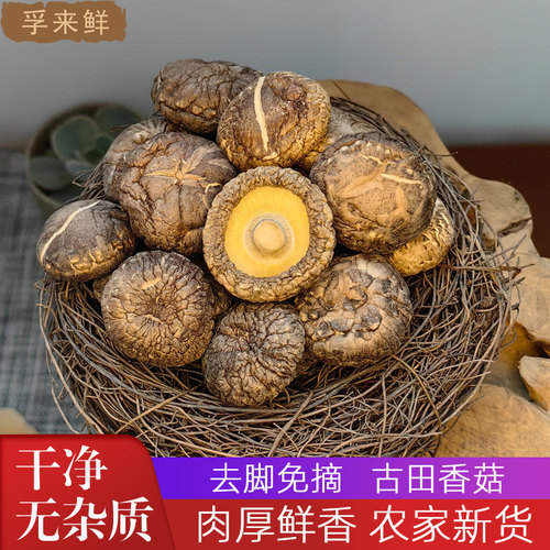 古田剪脚手工自制200g香菇干货