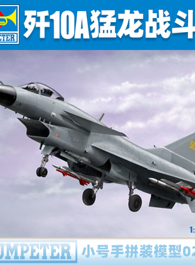 小号手1/48中国歼十A/J-10A猛龙战斗歼击机02841拼装飞机模型