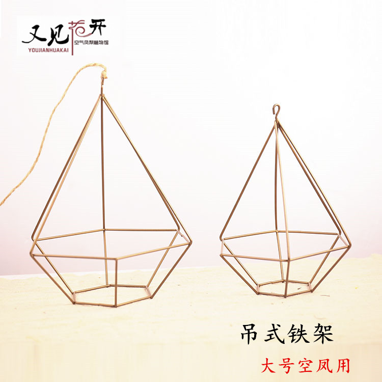 空气凤梨无土植物配件六角花器