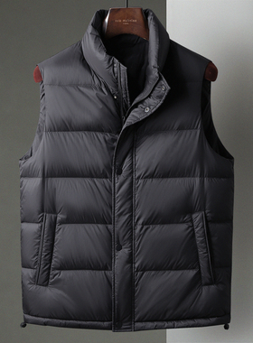黑色冬季新款防风立领拉链轻盈羽绒服马甲中年男士商务背心外套