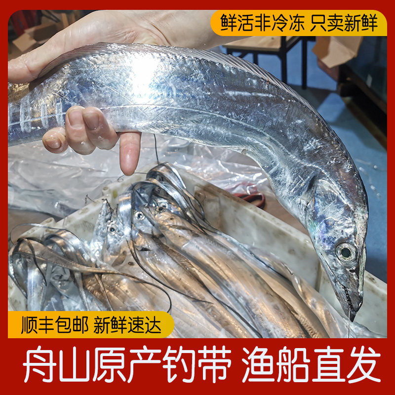 新鲜斤装左右舟右野生整条带鱼