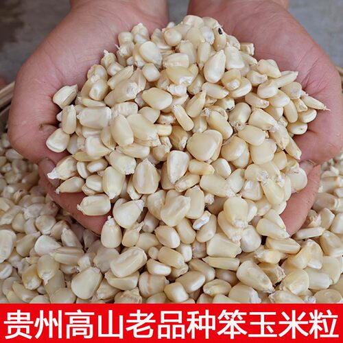 贵州白玉米粒笨玉米粒