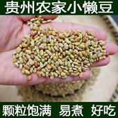 新货眉豆5斤小竹豆巴山豆农家自种懒豆贵州特产爬山豆 豆沙粑原料
