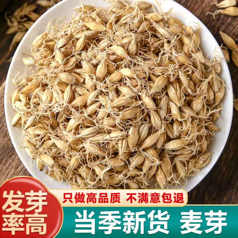 生麦芽大麦芽茶散装500g