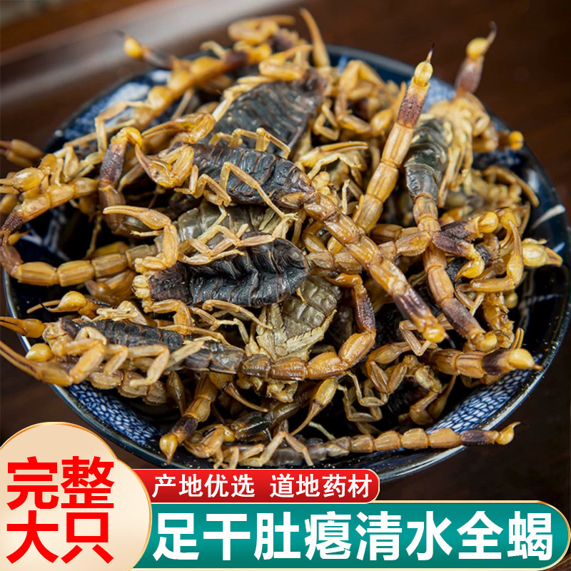 全蝎中药材清水无盐个体完整