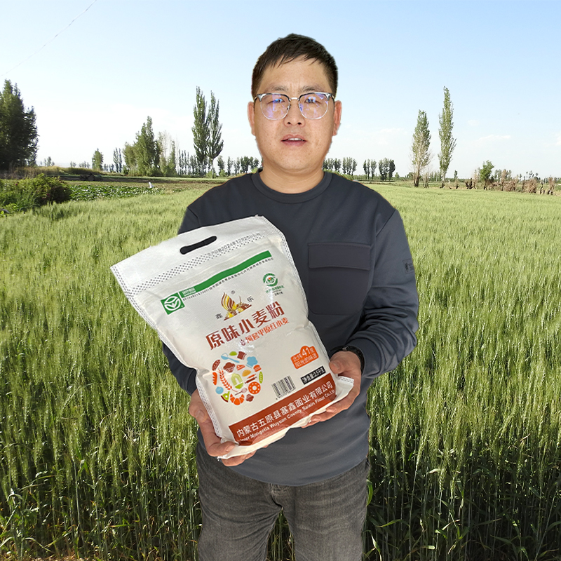 特农汇鑫乐原味小麦粉