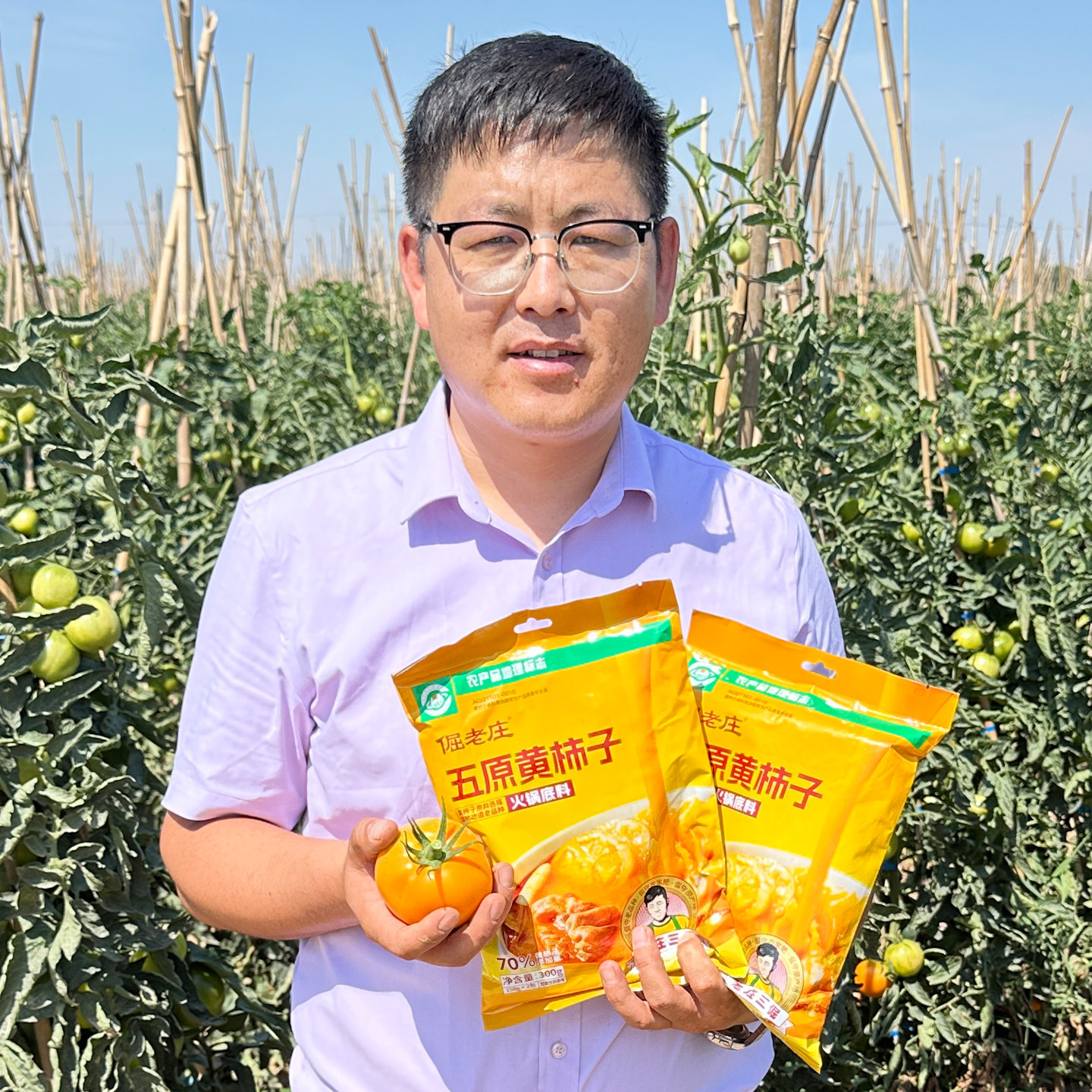 五原黄柿子火锅汤料涮料涮羊肉涮菜煮面熬汤炖鱼炖肉炒菜独立包装