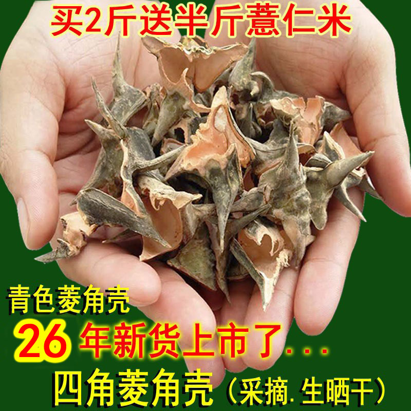 野生江苏宿迁菱角四角菱壳