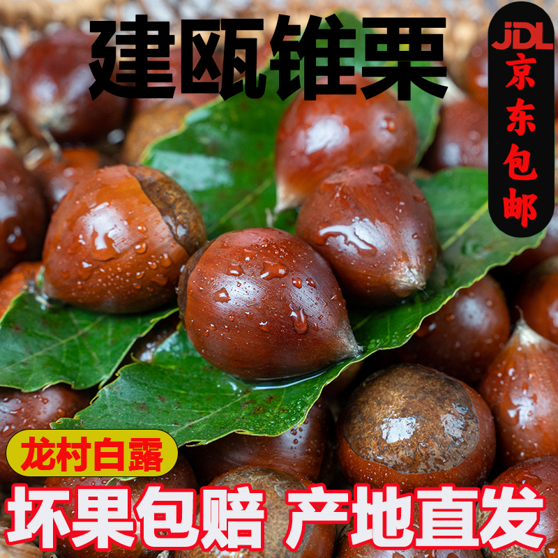 福建建瓯锥栗生新鲜精选油栗子