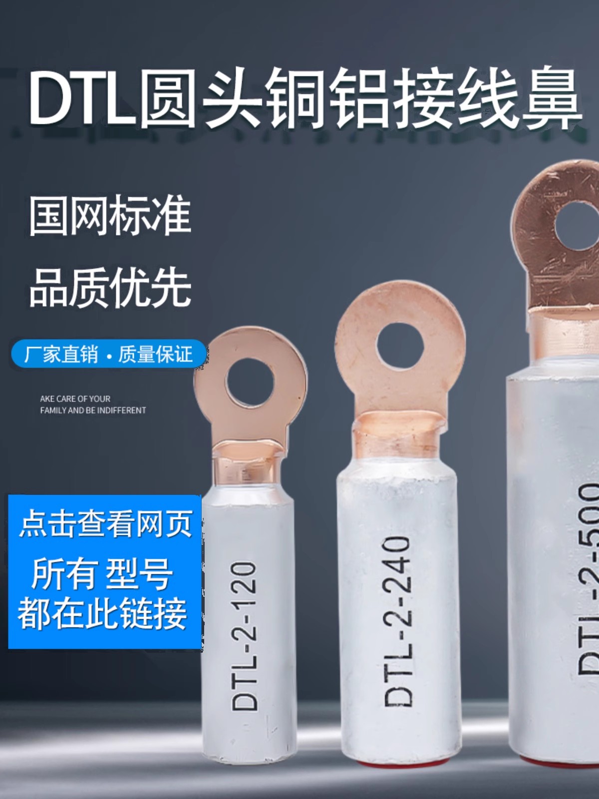 圆头DTL-2纯铜铝接线端子