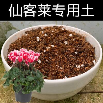 仙客莱土仙客莱专用土酸性土椰糠泥炭土壤盆栽种植通用营养土花肥