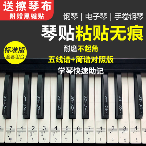 88键钢琴贴纸61五线谱透明
