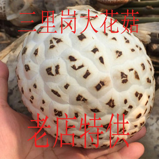 随州特产三里岗大花菇剪脚冬菇野生椴木香菇干货肉厚饱满500g包邮