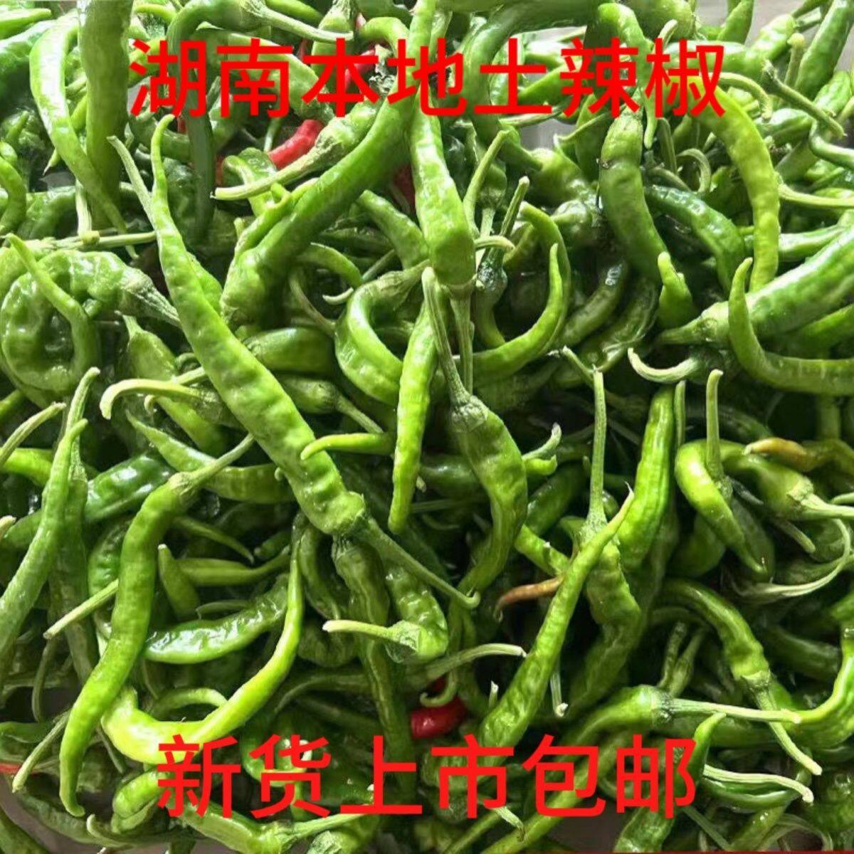 现摘现发湖南新鲜青辣椒农家特产辣椒露天中辣特辣青椒本地土辣椒