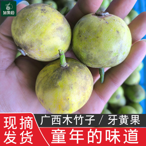 广西野生木竹子果新鲜酸桐子