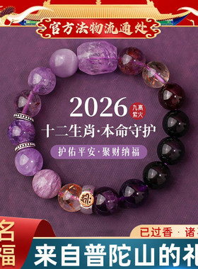 普陀山九紫离火天然紫水晶水链2026年马年本命年12生肖手串招财