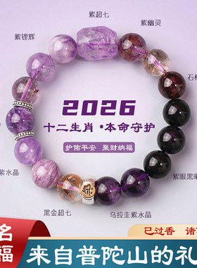普陀山天然紫水晶手链九紫离火2026马年本命年12生肖手串男女款10