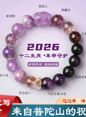 普陀山天然紫水晶手链九紫离火2026马年本命年12生肖手串男女款10