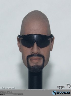 ZYTOYS 1:6 兵人 美军军事 眼镜 太阳镜 手办模型ZY15-20 BJD OB