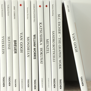 现代简约仿真油画书样板间售楼处书房书柜装 饰品摆件翻页摄影道具