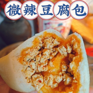 苏北盐城滨海阜宁盐阜特产豆腐包子手工微辣豆腐包素食素包10个装