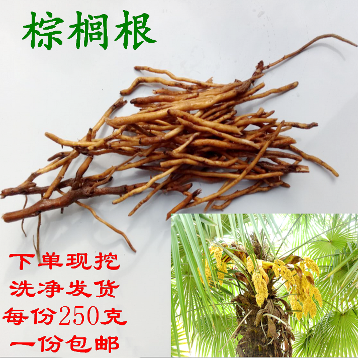 下单后现挖,洗净泥沙后发货