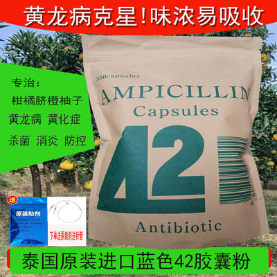 泰国42蓝胶囊粉素青霉黄化症红鼻子果树专用药黄龙病柑橘脐橙柚子