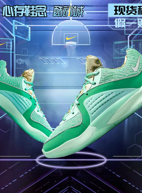 Nike杜兰特16 KD 16 Wanda男子绿色低帮后卫实战篮球鞋DV2916-301