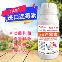 代替农用连霉素防治软腐青枯溃疡叶枯病杀菌剂细菌性病害北美农大