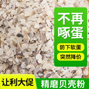 高钙贝壳粉饲料牡蛎粉贝壳饲料鸡用补钙鸽子保健砂芦丁鸡兽用钙粉