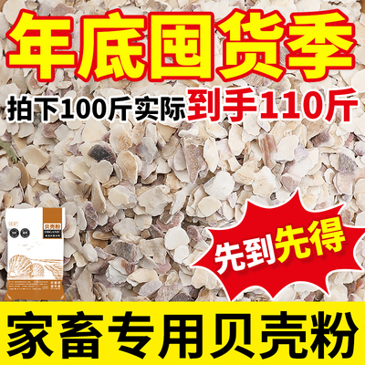 贝壳粉100斤批发喂鸡鸭鹅鸽子
