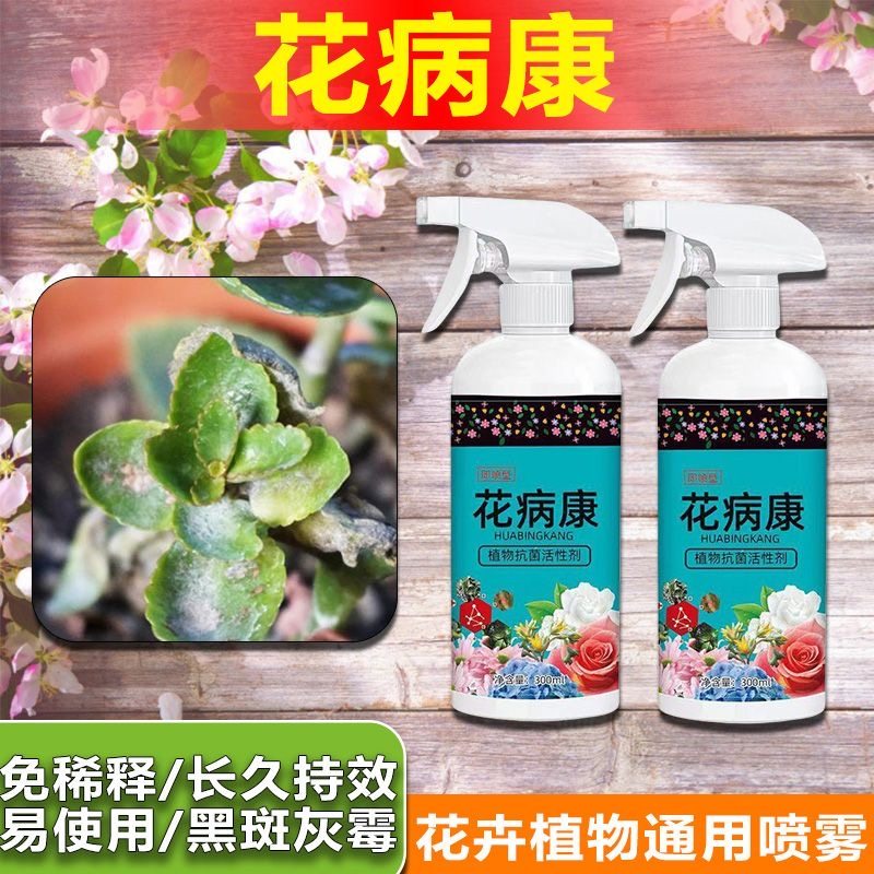 到手5瓶花病康免稀释杀菌剂抗菌活性剂植物营养液家庭园艺用,鲜花速递/花卉仿真/绿植园艺,家庭园艺肥料,淘宝优惠券,粉丝福利购,淘宝优惠卷