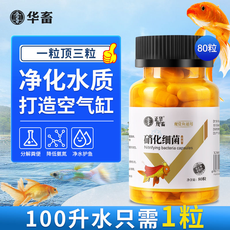 买1发3活性硝化细菌胶囊鱼缸水质净化水族观赏鱼消化细菌神器