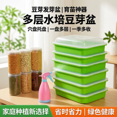 豆芽穴盘营养钵水培蔬菜