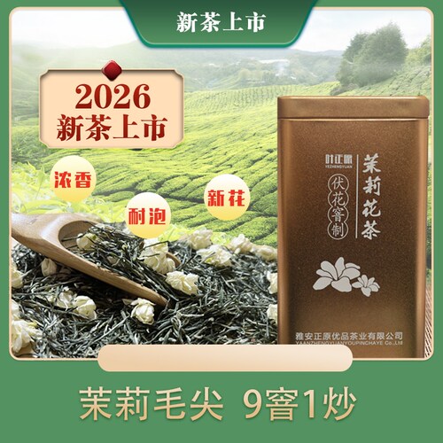 2026新茶茉莉毛尖飘雪浓香型