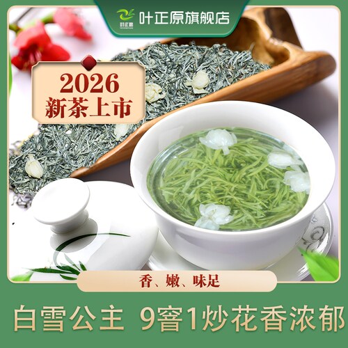 2026茉莉花茶早春头采雪经伏花