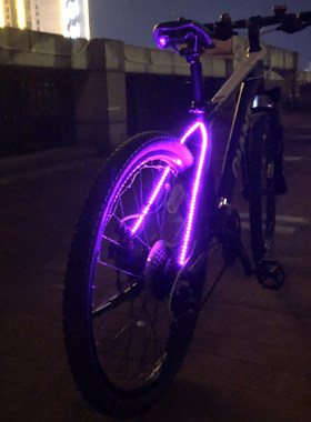 自行车尾灯山地车夜间车身架儿童