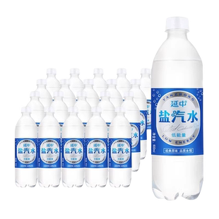 延中盐汽水600ml*20瓶整箱团购 防暑降温汽水 夏季咸味上海盐汽水