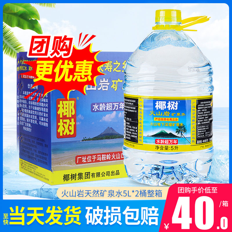 椰树火山岩天然矿泉水5L*2桶整箱包邮 海南岛天然好水大瓶泡茶水