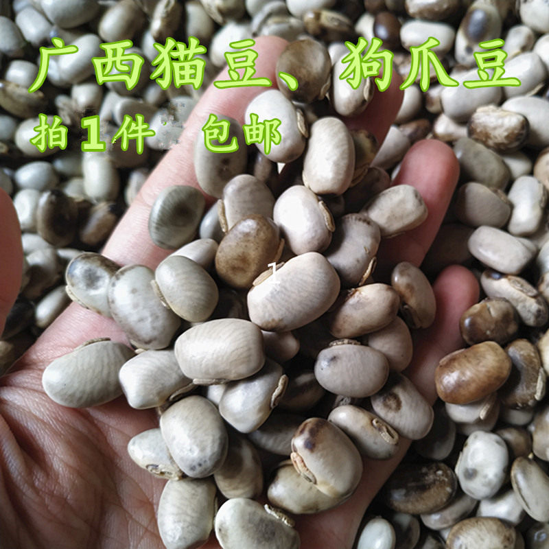 广西巴马猫豆狗爪豆500g黎豆,龙爪黎豆,虎爪豆,猫猫豆食疗新货