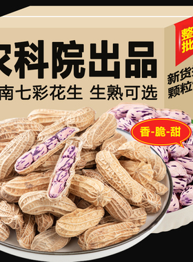 云南新货七彩花生带壳富硒云南黑花生七彩花生种野地水果花生